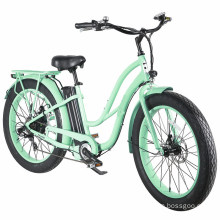 Best Price 250W Electric City E Bike for Women